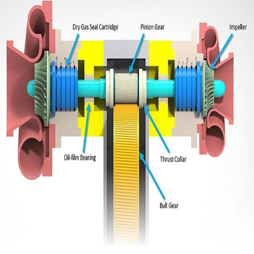 Why is Regular Maintenance Crucial for Seals and Bearings?