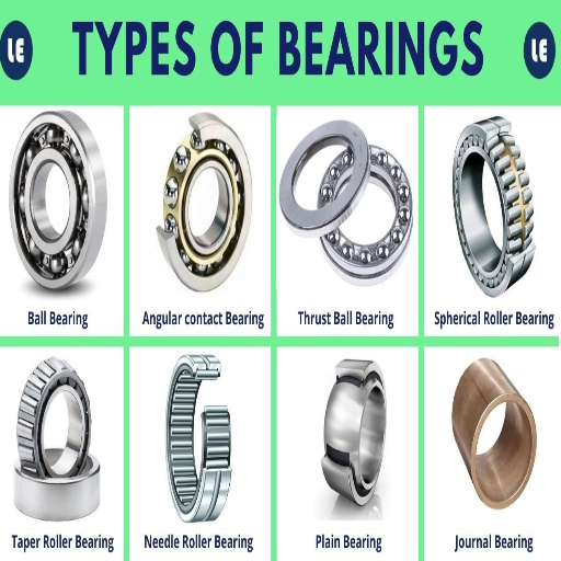 What Are the Different Types of Bearings?