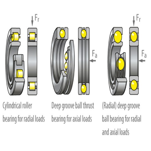 How Do Thrust Bearings and Radial Bearings Differ?