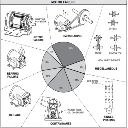 What Causes Bearing Failure in Motors?